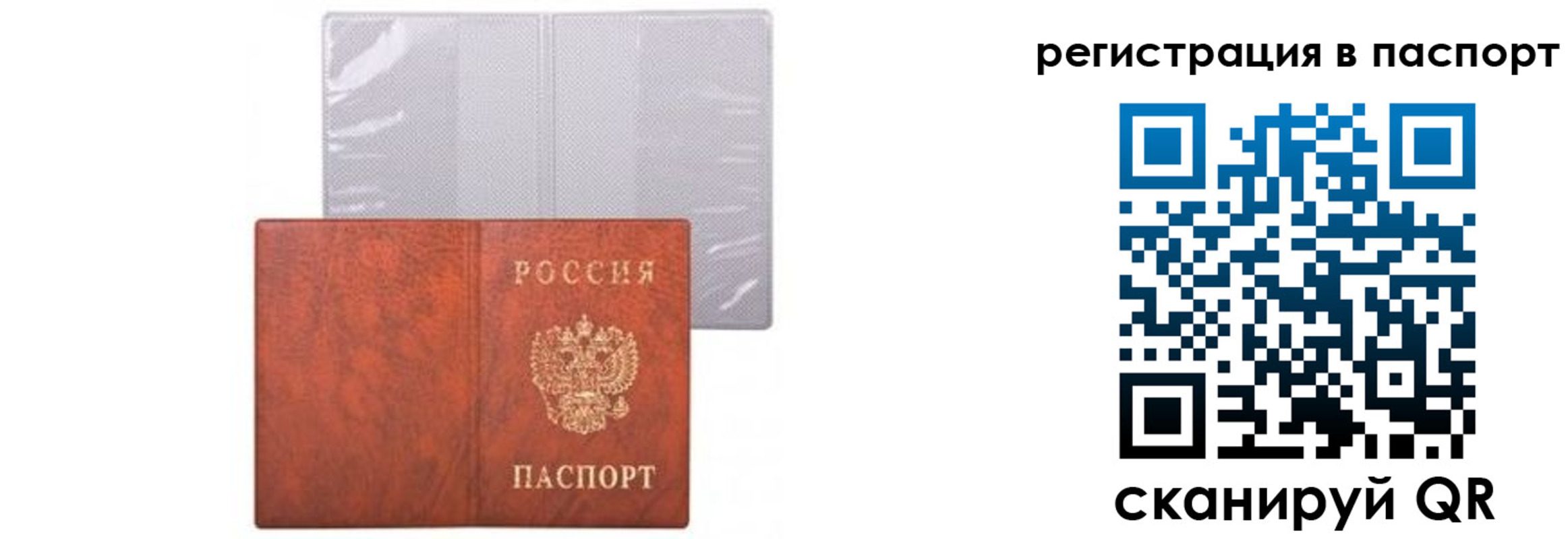прописка ребенка в Сураже